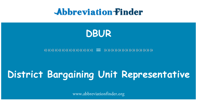 DBUR: District Bargaining Unit Representative