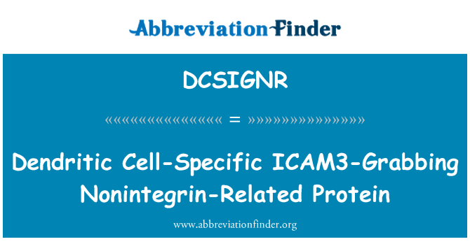 DCSIGNR: Dendrittiske celle-spesifikke ICAM3-fanget Nonintegrin-relaterte proteiner