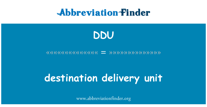 DDU: destination delivery unit