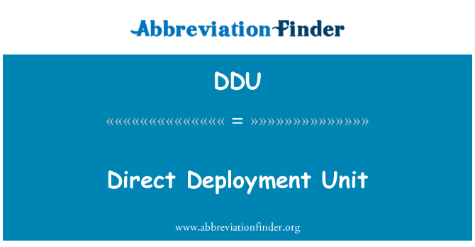 DDU: Unità di distribuzione diretta