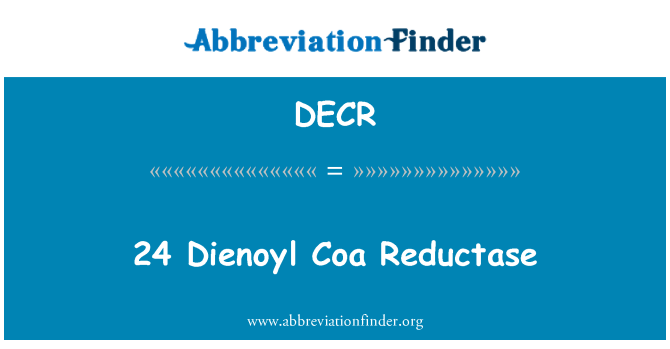 DECR: 24 Dienoyl Coa Reductase