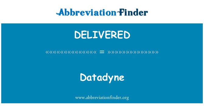 DELIVERED: Datadyne