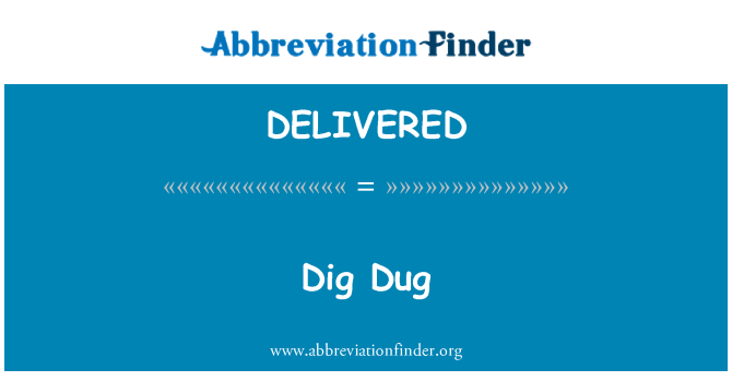 DELIVERED: Dig Dug