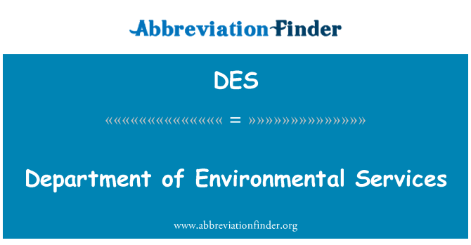 DES: Institutt for Environmental Services