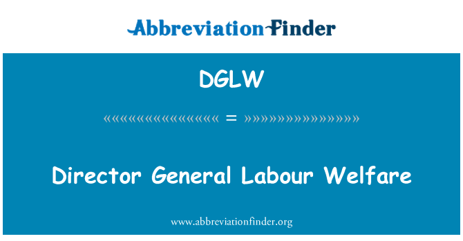DGLW: Ketua Pengarah tenaga kerja kebajikan