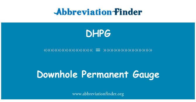 DHPG: Downhole permanente Gauge