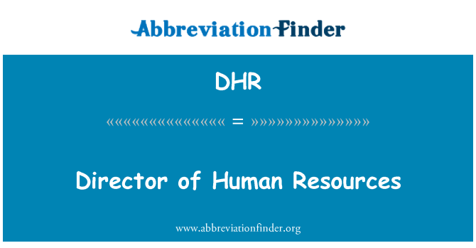 DHR: 人力资源部总监