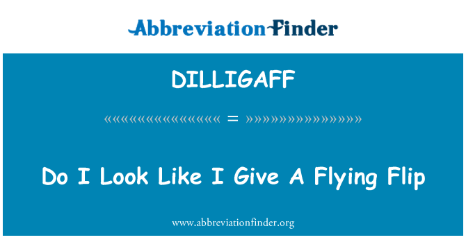 DILLIGAFF: Ser jeg som jeg gir en flygende Flip