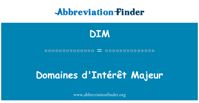 DIM: Domaines d'Intérêt Majeur