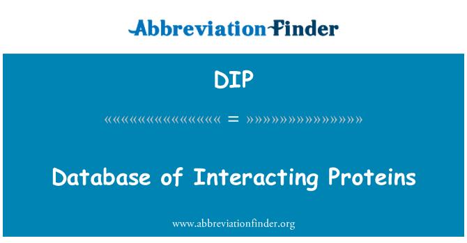 DIP: Database of Interacting Proteins