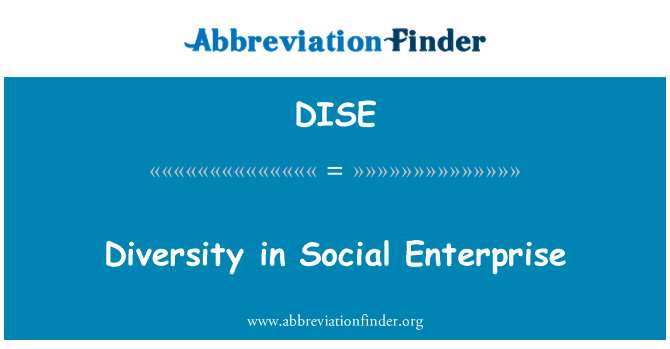 DISE: 社会的企業の多様性