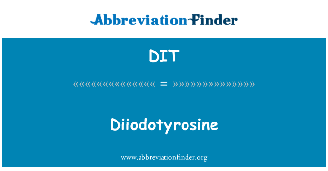 DIT: Diiodotyrosine