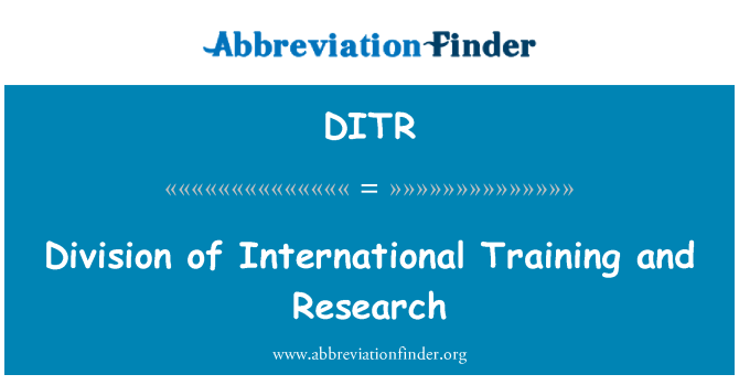 DITR: Divisione di ricerca e formazione internazionale