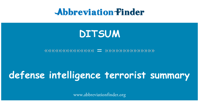 DITSUM: Defense intelligence terrorismin Yhteenveto
