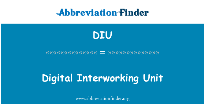 DIU: Unit digital Interworking