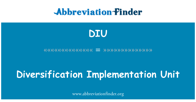 DIU: Diversifiering implementationsenhet