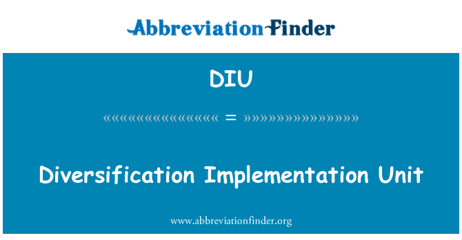 DIU: 多樣化執行股
