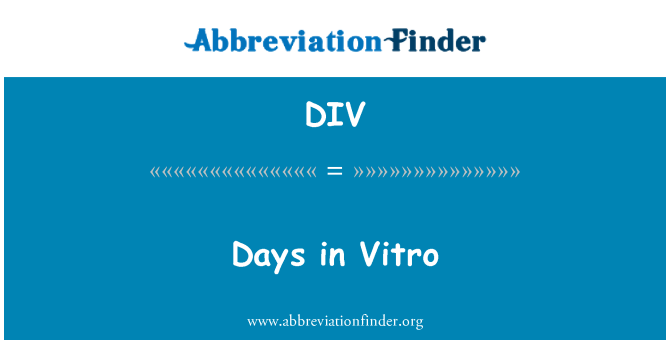 DIV: Dny v in Vitro