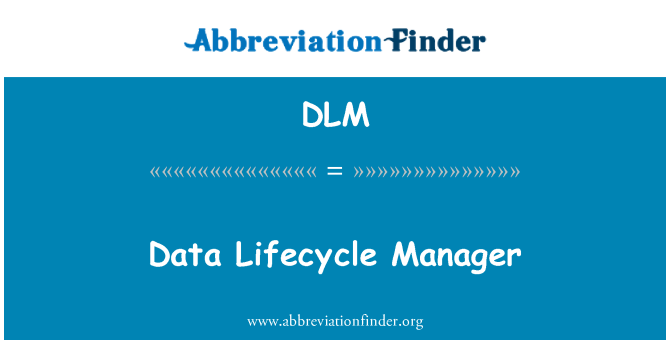 DLM: Date Lifecycle Manager