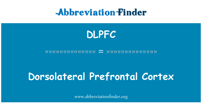 DLPFC: Dorsolateral præfrontal Cortex