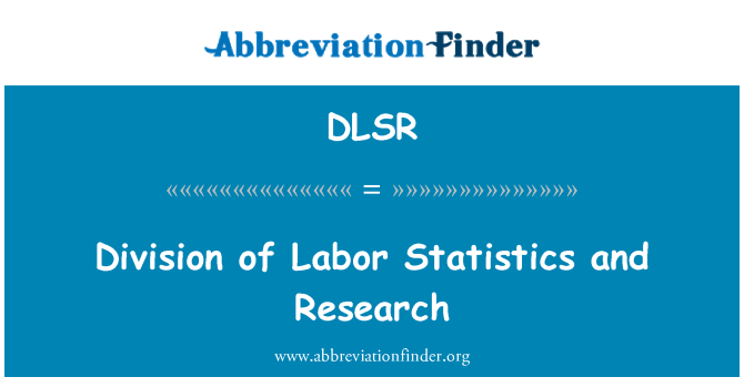 DLSR: Division of Labor Statistics e ricerca