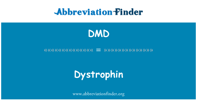 DMD: Dystrophin