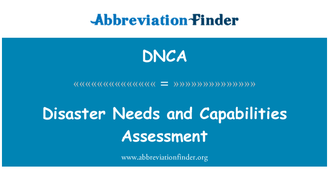 DNCA: 災害のニーズと機能評価