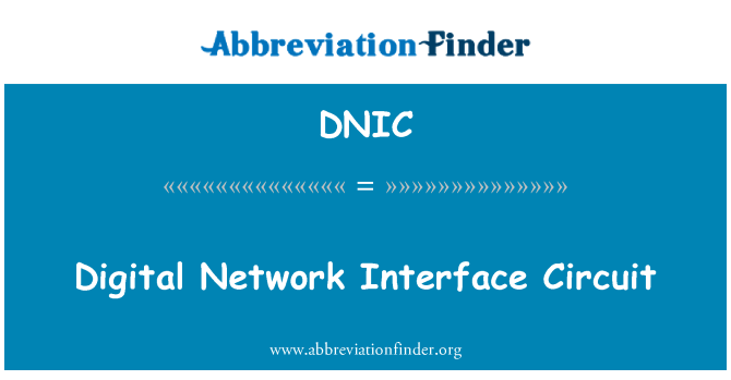 DNIC: Digital Network Interface Circuit