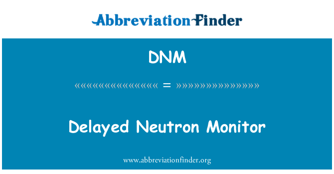 DNM: Moniteur de neutrons retardés