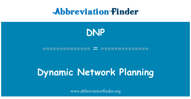 DNP: 동적 네트워크 계획