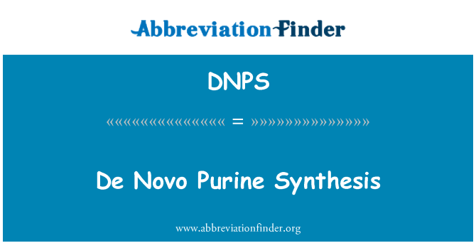 DNPS: Syntézy de Novo purínov