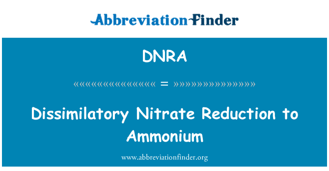 DNRA: Penurunan dissimilatory nitrat kepada Ammonium