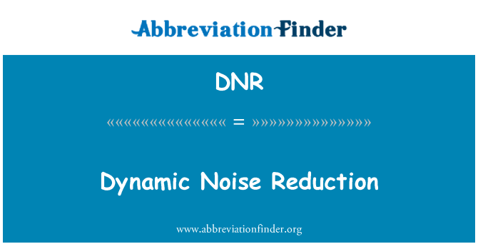 DNR: 동적 소음 감소