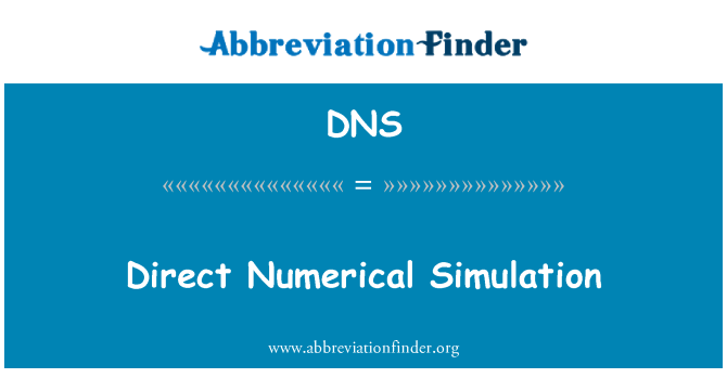 DNS: Přímé Numerické simulace
