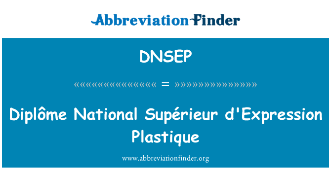 DNSEP: Indutores de diplôme National Supérieur Plastique