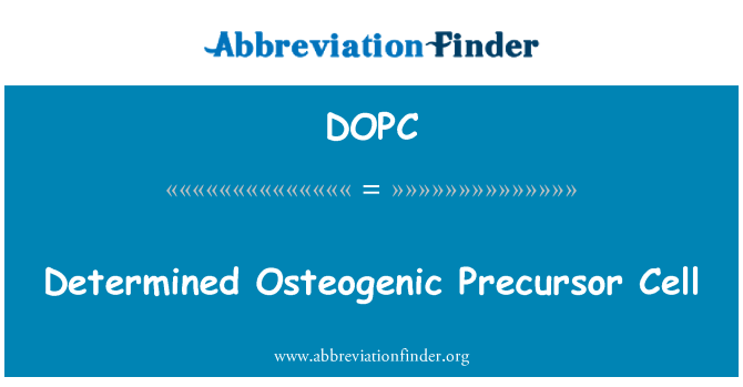 DOPC: Определяется прекурсоров Остеогенные клетки