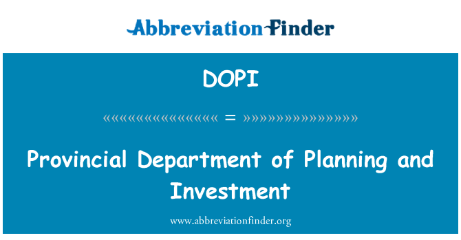 DOPI: Provincial Departamentului de planificare şi de investiţii