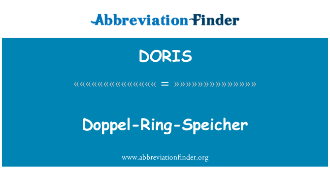 DORIS: Doppel-Ring-Speicher