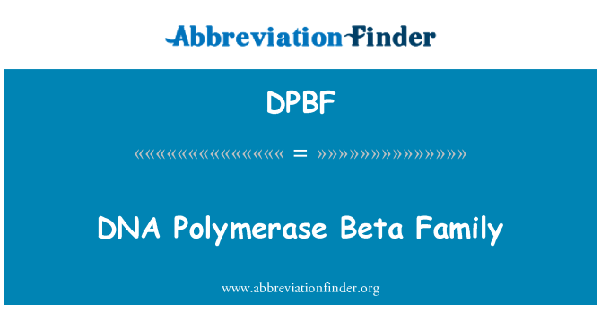 DPBF: Teulu Beta Polymerasau DNA
