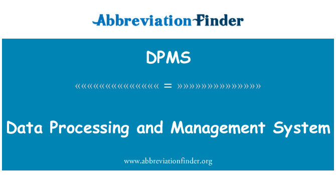 DPMS: Sistema di gestione e di elaborazione dati