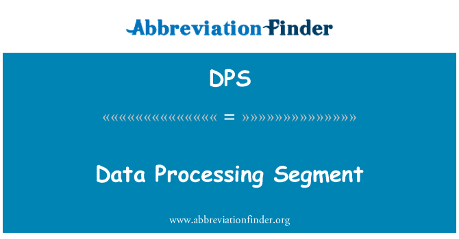 DPS: 데이터 처리 세그먼트