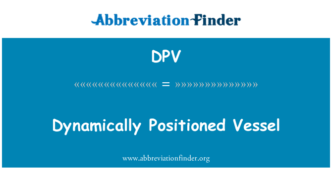 DPV: 動力定位的船舶