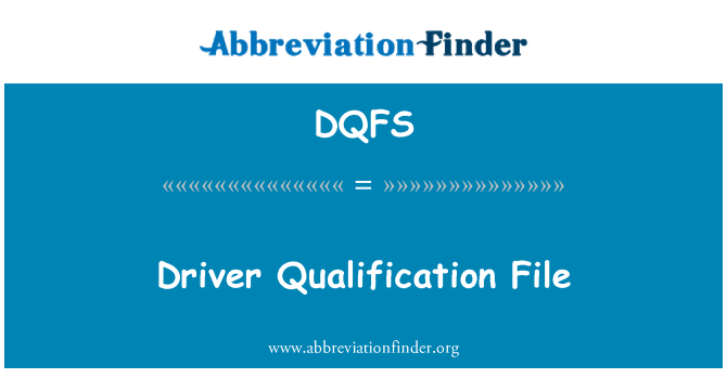DQFS: Driver Qualification File