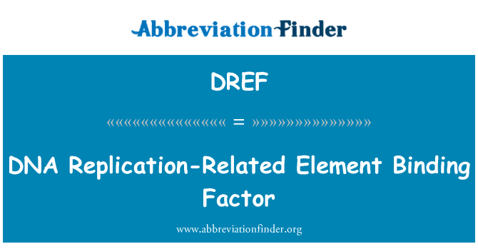 DREF: יסוד הקשורות שכפול ה-DNA איגוד מקדם