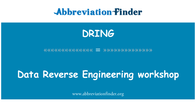DRING: Data Reverse Engineering workshop