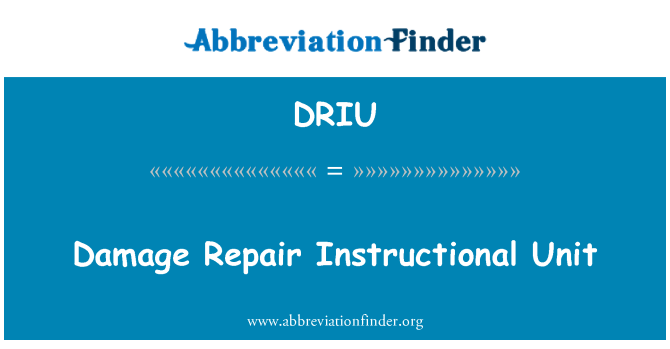 DRIU: Damage Repair Instructional Unit