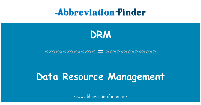 DRM: 데이터 자원 관리