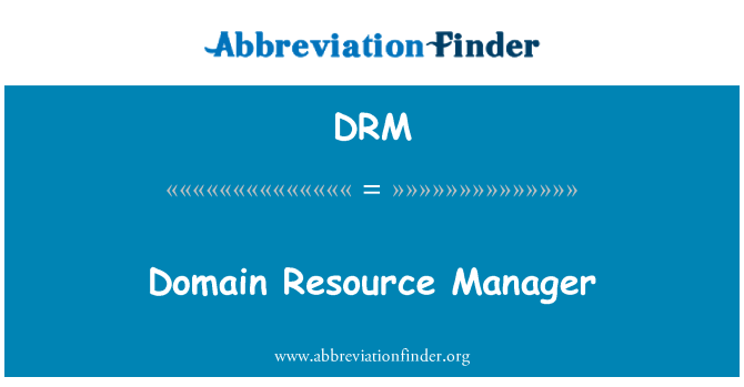 DRM: מנהל תחום משאבים