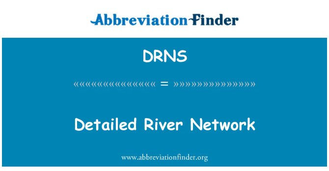 DRNS: Afon manwl rhwydwaith