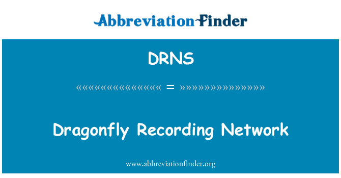 DRNS: 잠자리 기록 네트워크